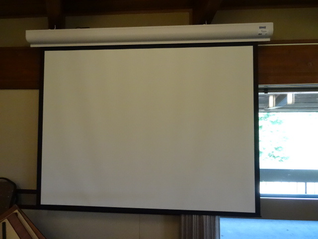 lot 32 image: DaLite Power Projection Screen