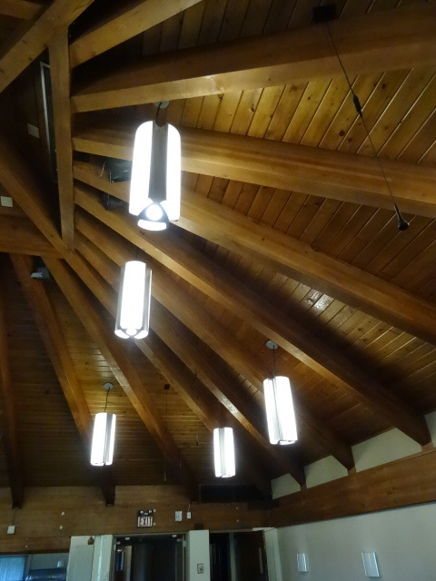 lot 33 image: 16 Ceiling Lights