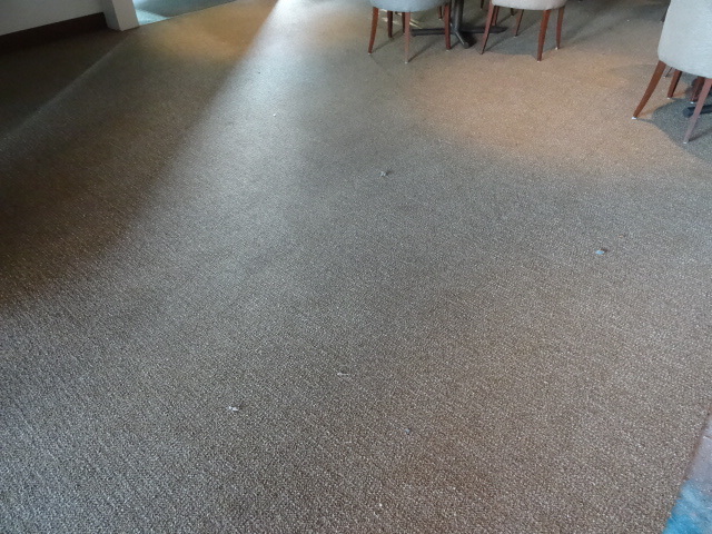 lot 41 image: 36 X 36 Carpet Tiles Most are Full