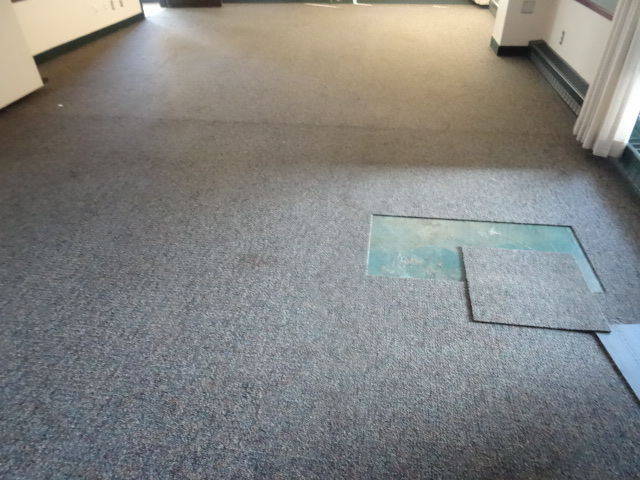lot 55 image: 20 X 20 Carpet Tiles Most are Full  Pieces