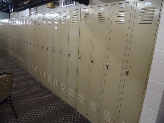 lot 119 image: 30 Bank Locker Unit 30 X 21 X 78