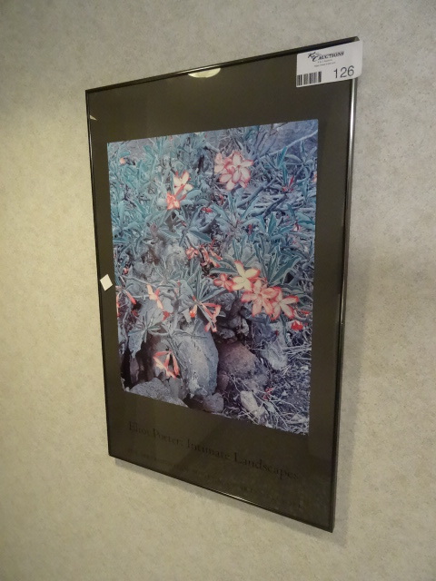 lot 126 image: Eliot Porter Framed Print