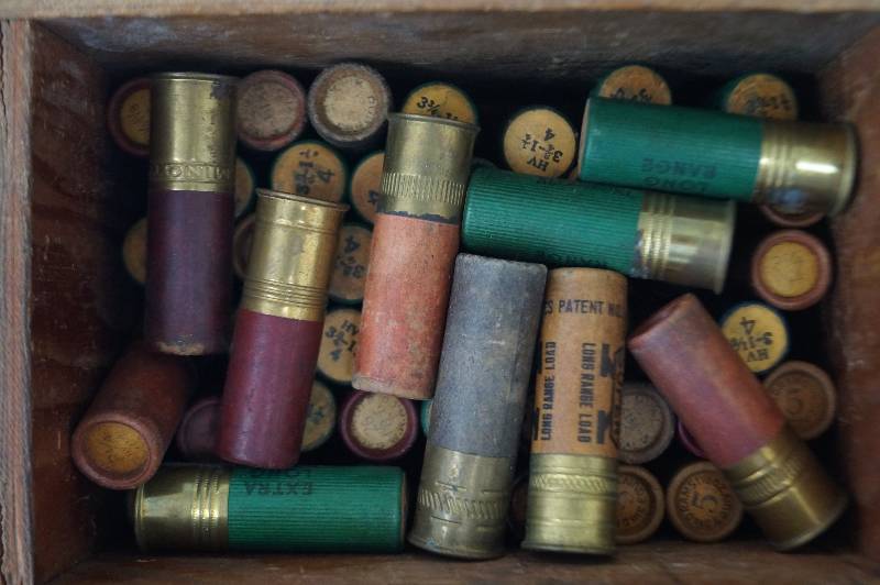 lot 49 image: 12 & 20 Gauge Shells