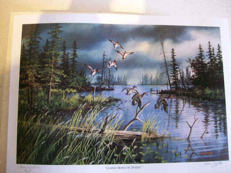 lot 50 image: Bird Prints- 2 stacks