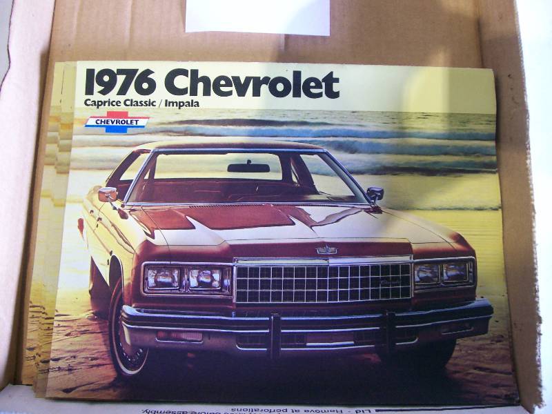 lot 57 image: Bear Print 2491000