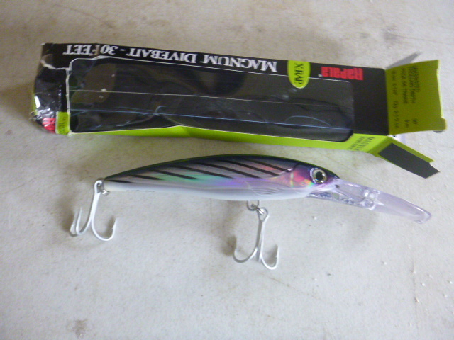 Rapala Magnum X-Rap Dive Bate