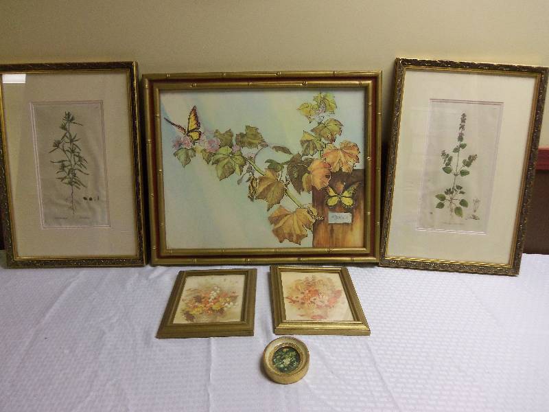 Framed Art - Botanical