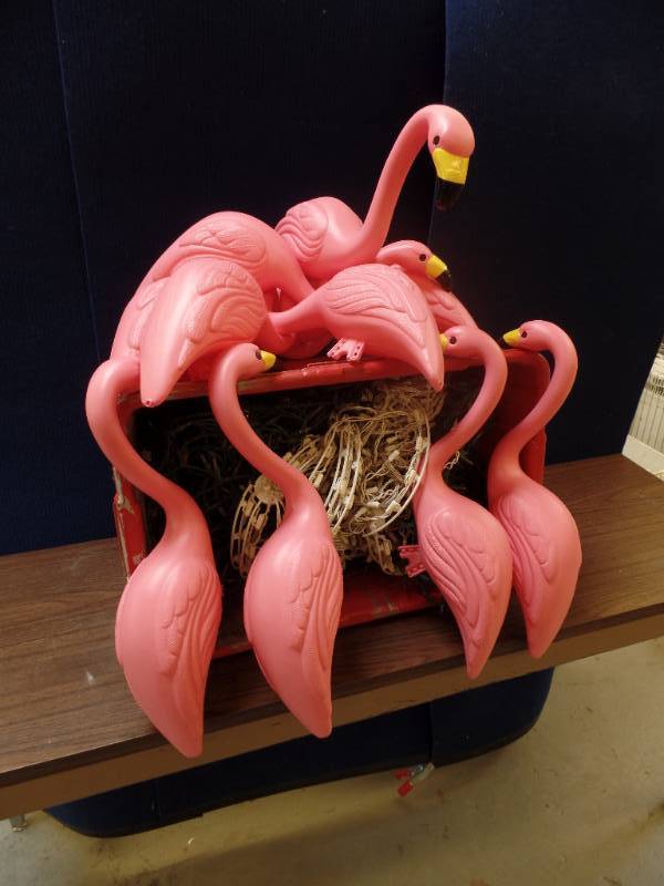 lot 122 image: Pink Flamingos