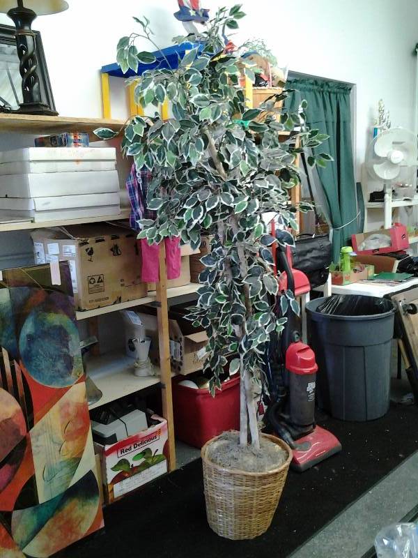 Faux Ficus Tree