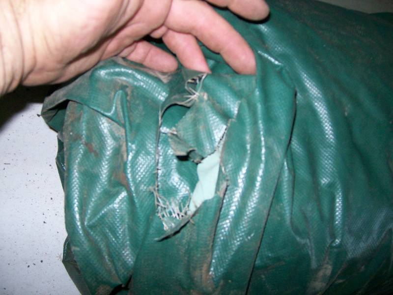 lot 36 image: Military Medical Tent