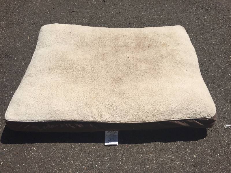 lot 20 image: Large Dog Bed