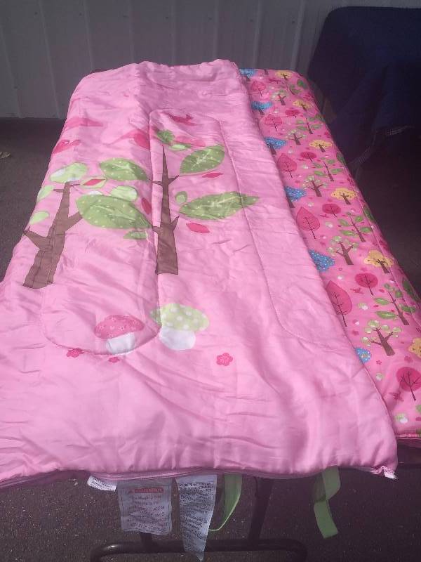 lot 123 image: 2 Girls Sleeping Bags