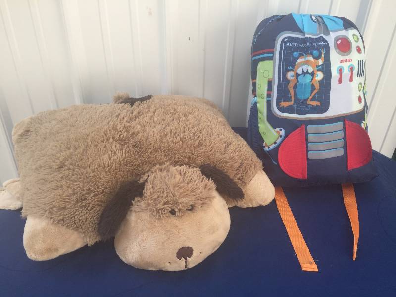 lot 124 image: Boy Sleeping Bag and pillow Pet