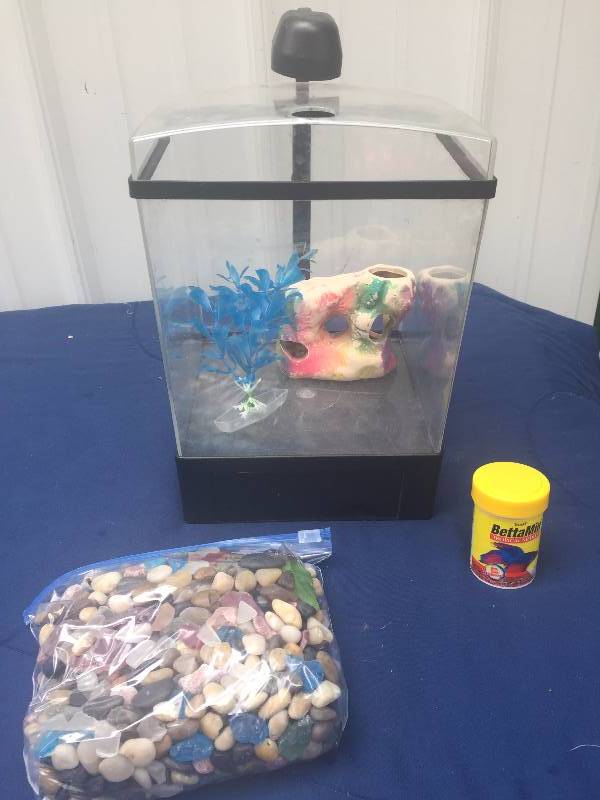 lot 134 image: Fish Tank with Rocks and Food