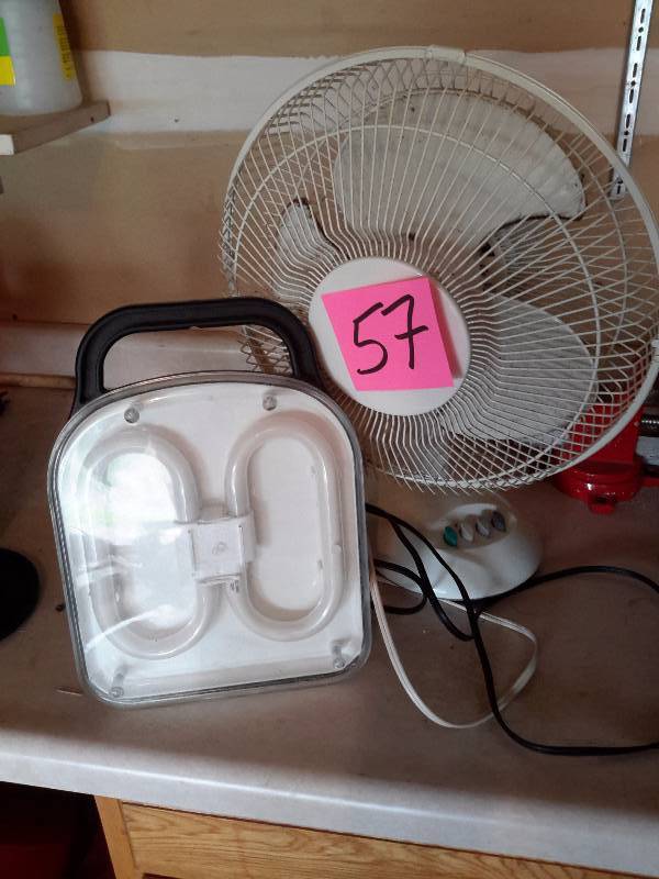 lot 57 image: 3 speed oscillating Fan.. Fluorescent light