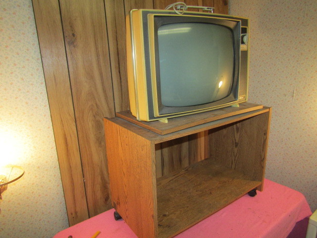 Television