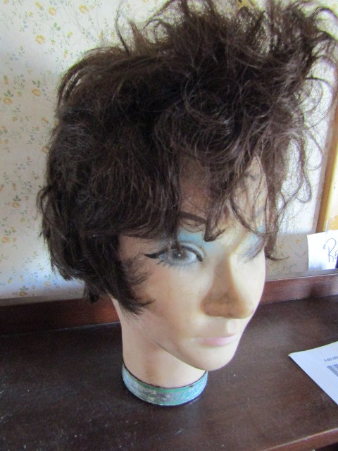 hairdressers head