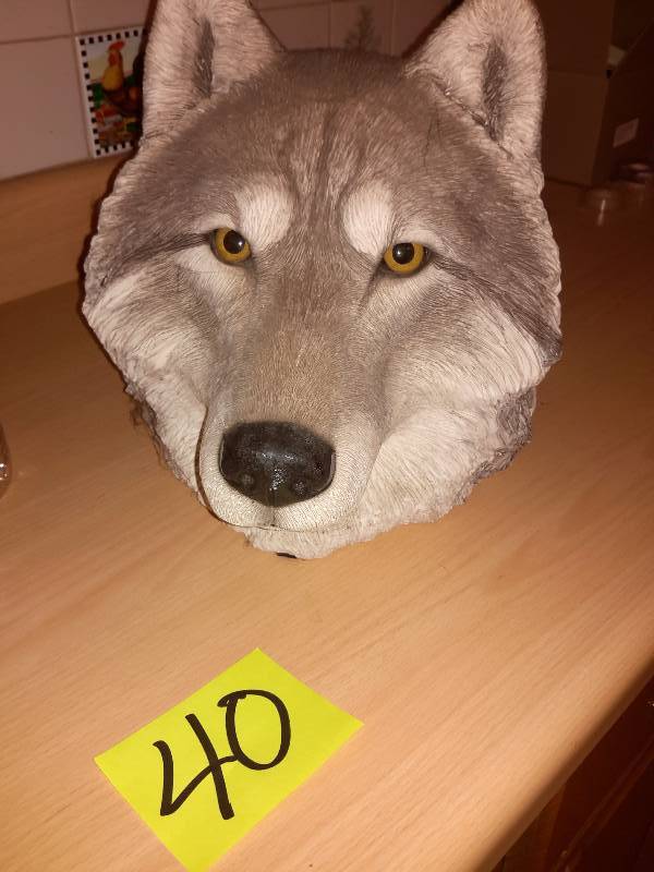 lot 40 image: Plaster Caste Wolf Head.. See Water bottle for size perspective.. Pretty much lifesize bust