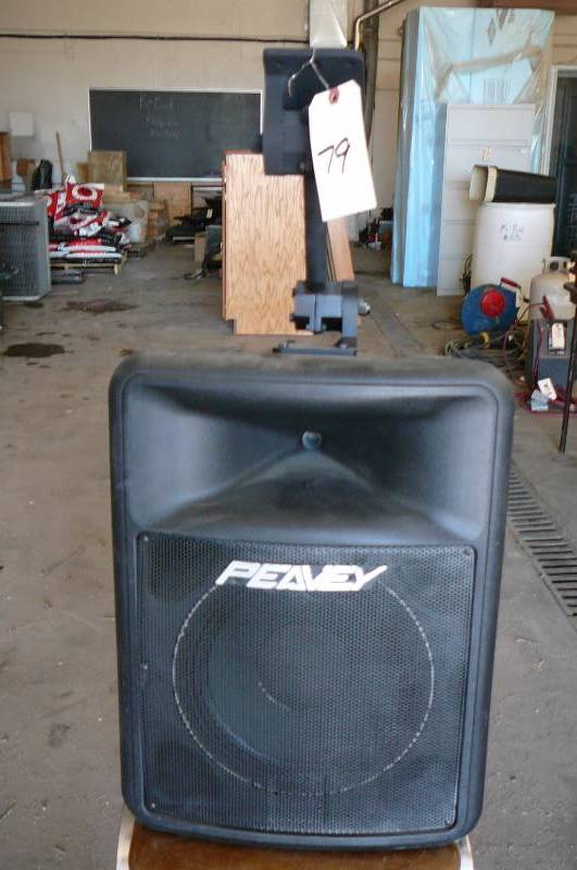 peavey speaker