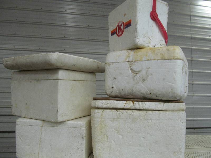 Styrofoam Coolers