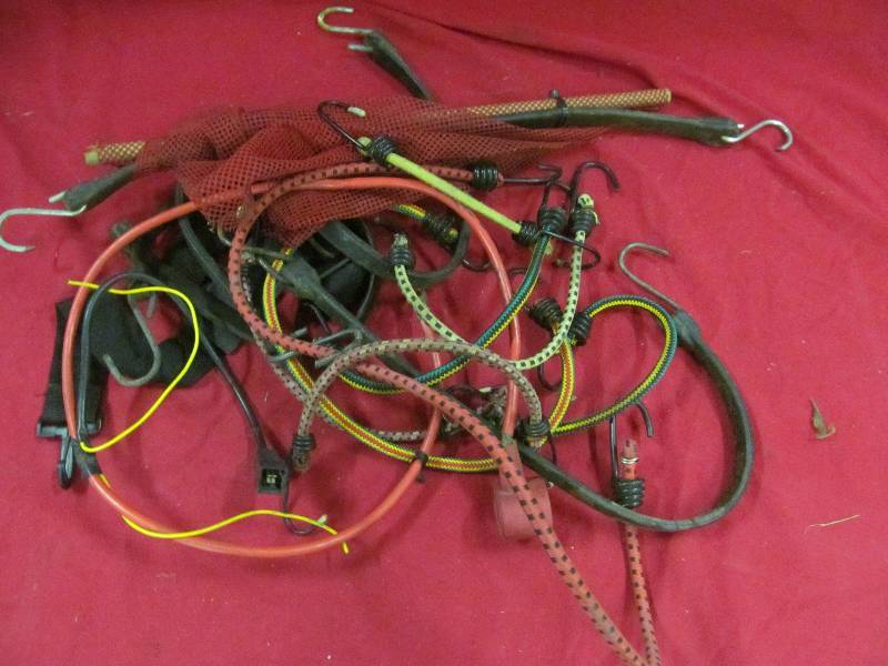 Bungee CordsStraps