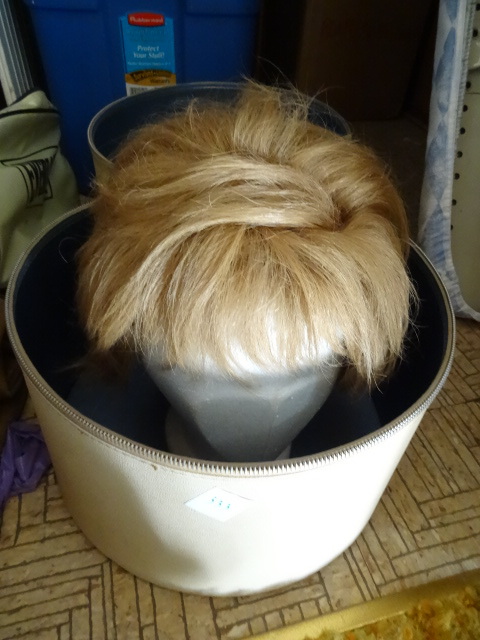 lot 333 image: Womens Hair Wig With Case