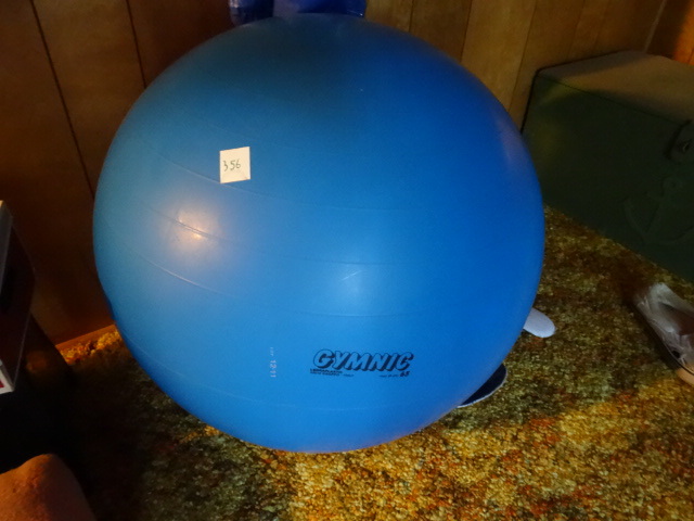 lot 356 image: Gymnic Exercise Ball