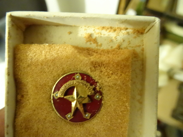 lot 492 image: Vintage Minnesota Mutual Life Pin