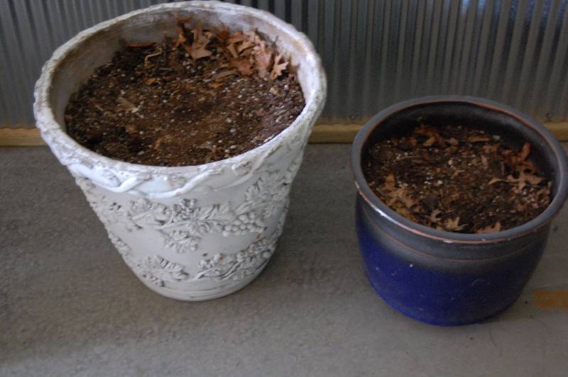 Planters