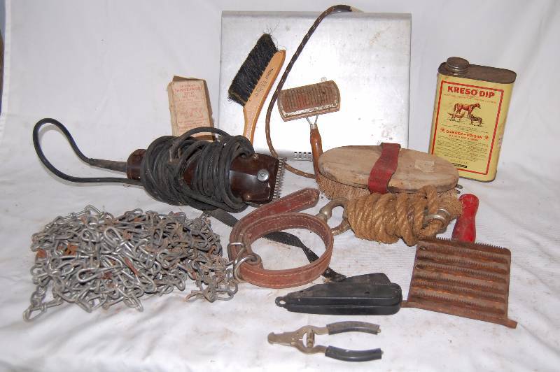 AnimalPet Lot