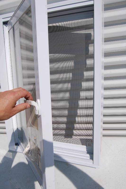 Exterior Windows