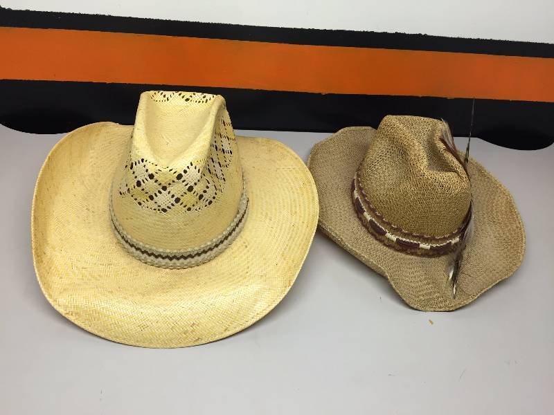 lot 48 image: AUTOGRAPHED HATS, COWBOY HATS, BEANIE BABIES MARIS AND GRETZKY