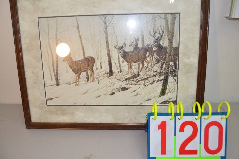 Deer picture