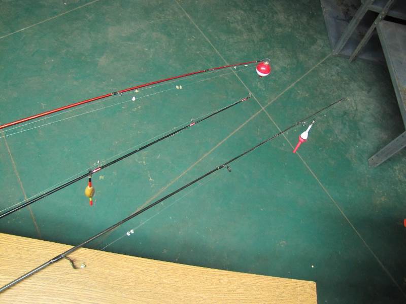 3 Fishing rods