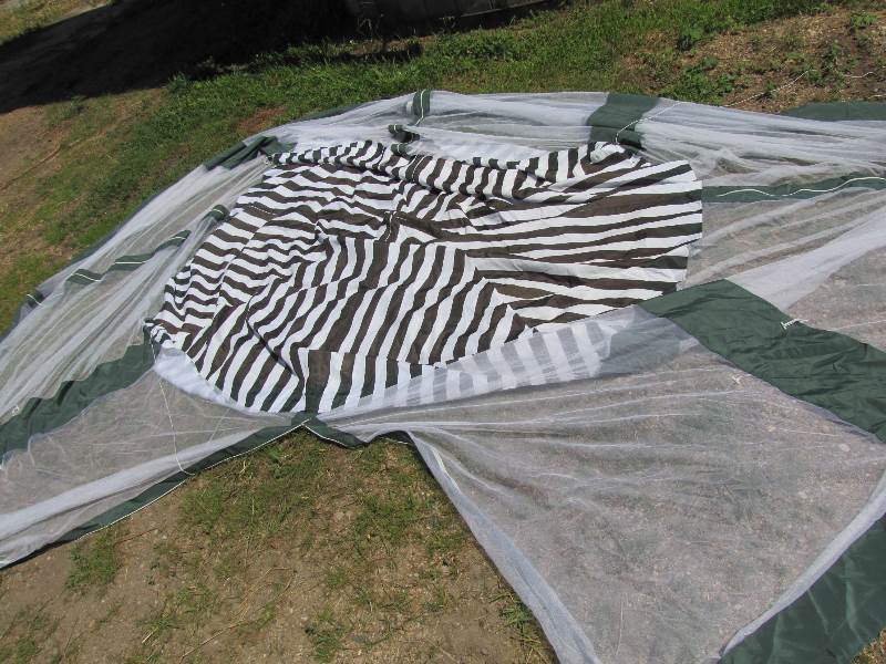 Screened Tent