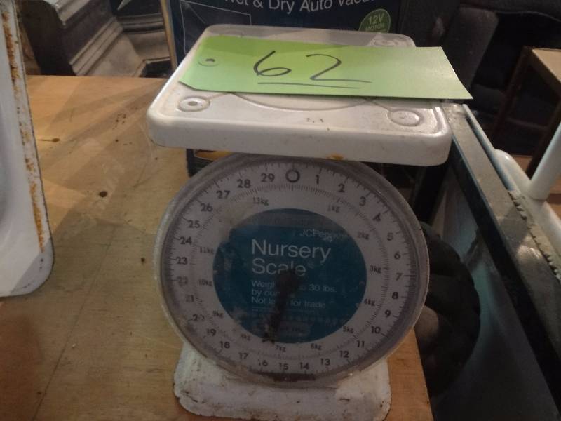 Nursery Scale, Wet Dry Car Vac
