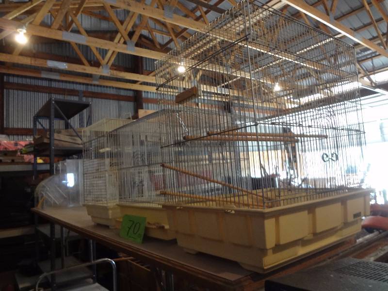 Flock of Bird Cages