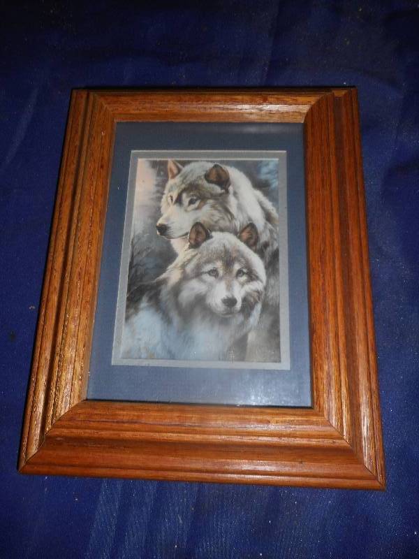 WOLF PICTURE