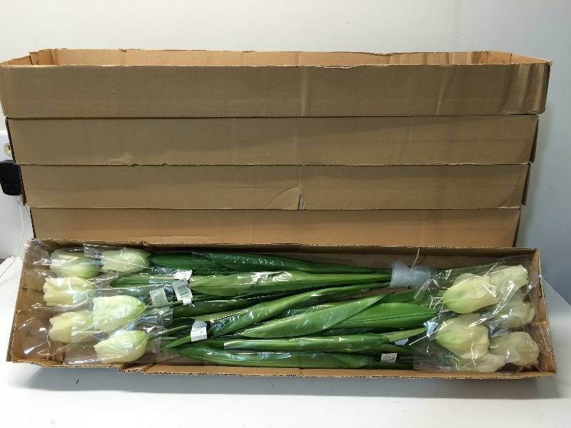 lot 3 image: Dutch Tulip Stems