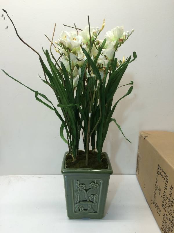 lot 20 image: Freesia With Green Planter