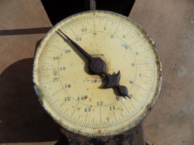 Vintage Counter Scale