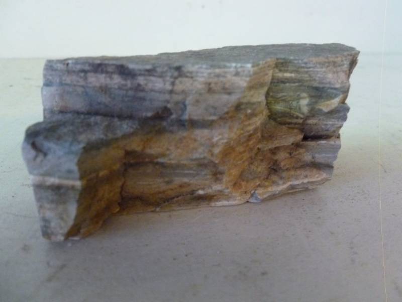 Petrified Wood