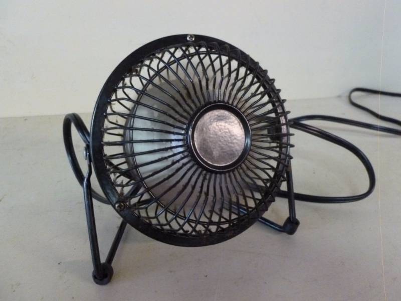 Fan