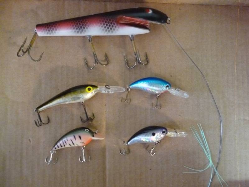 Fishing