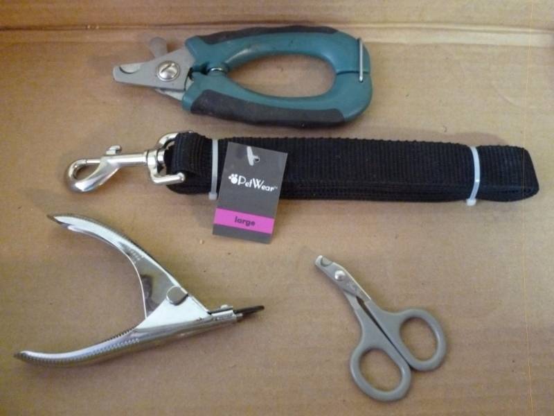 Dog Items