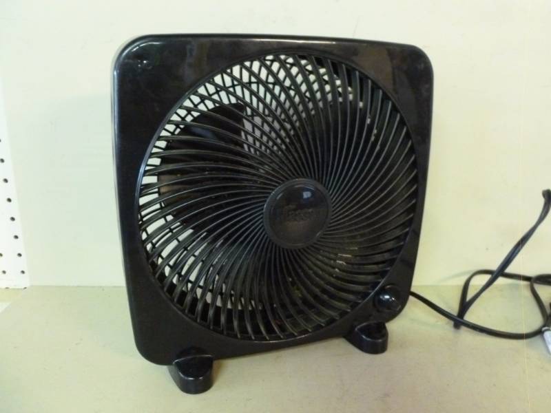Fan
