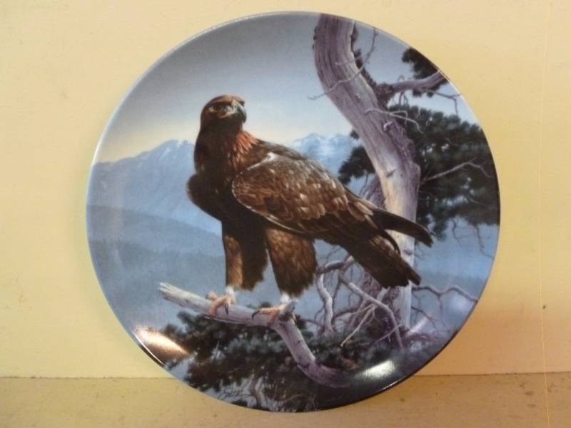 Collector Plate