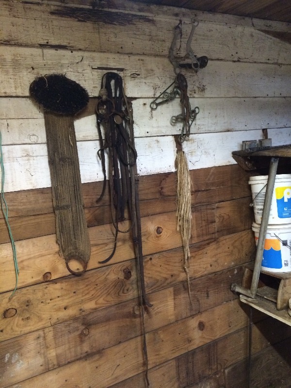 This Lot Includes All Contents in this Building - see all pictures for more visual details  Get it all at your PRICE