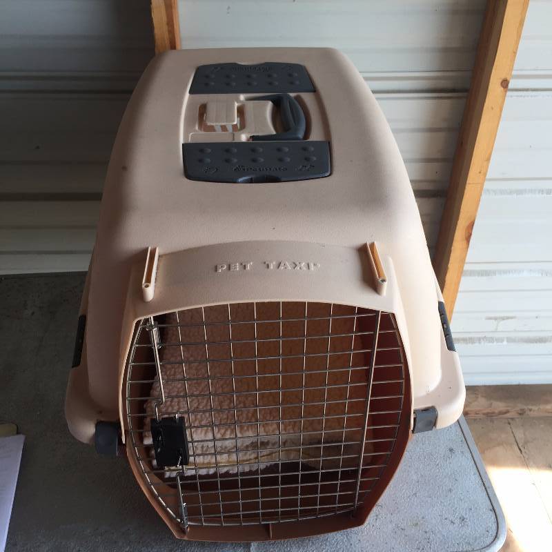 PET CARRIER FOR SMALL DOG OR CAT VERY CLEAN