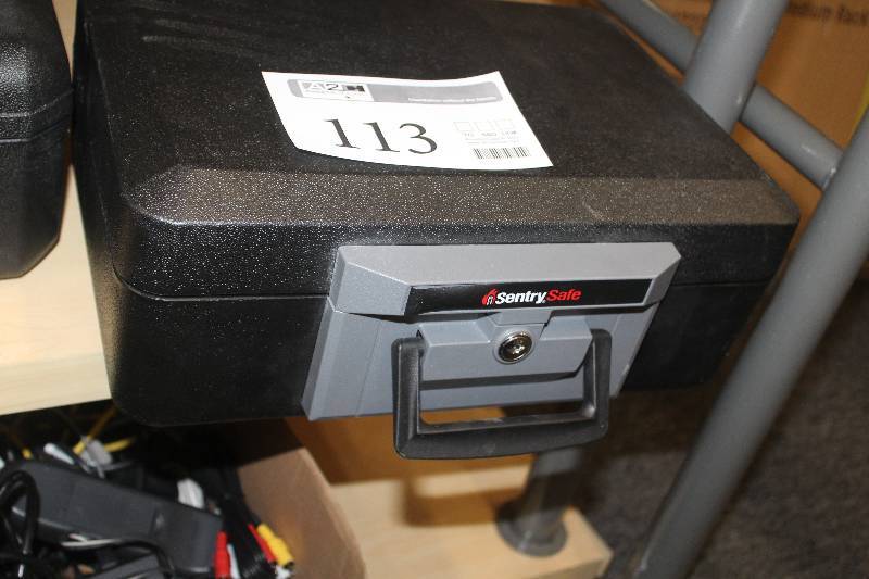 lot 113 image: Sentry Safe Record Protection Equipment